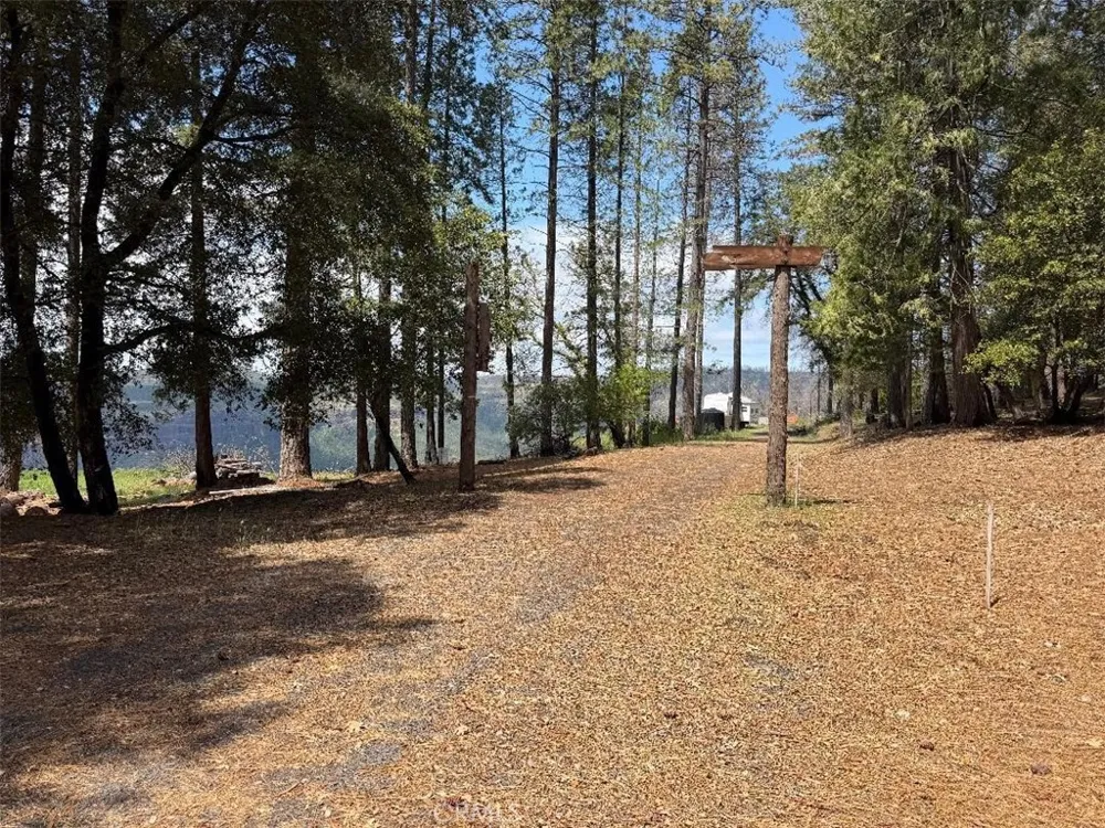 4631 Dear Abby Forest Ranch, CA 95942
