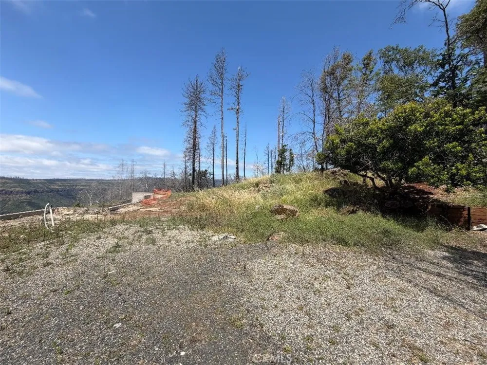 4631 Dear Abby Forest Ranch, CA 95942