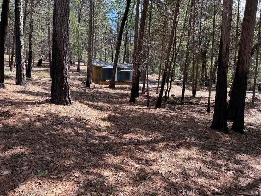 4631 Dear Abby Forest Ranch, CA 95942
