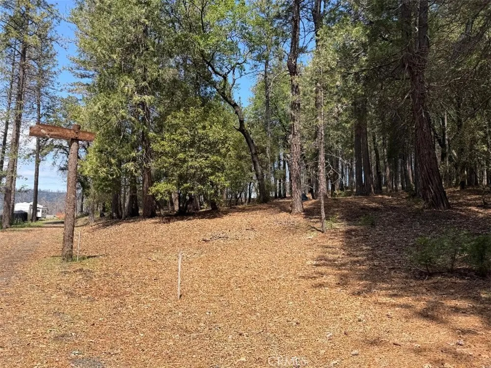 4631 Dear Abby Forest Ranch, CA 95942