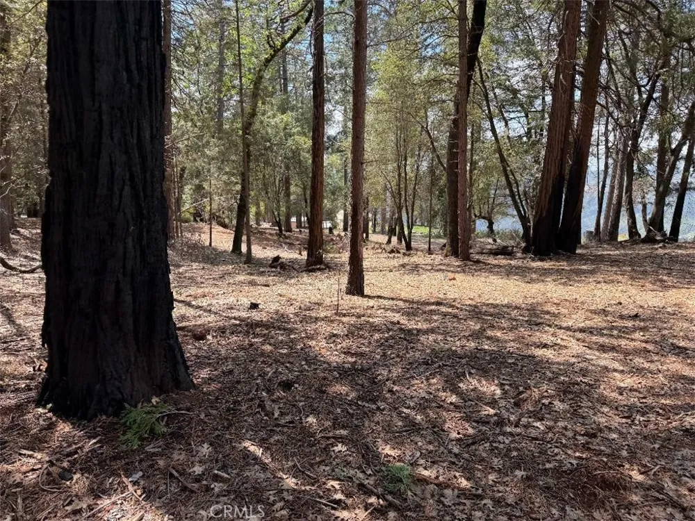 4631 Dear Abby Forest Ranch, CA 95942