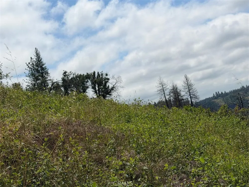 4631 Dear Abby Forest Ranch, CA 95942