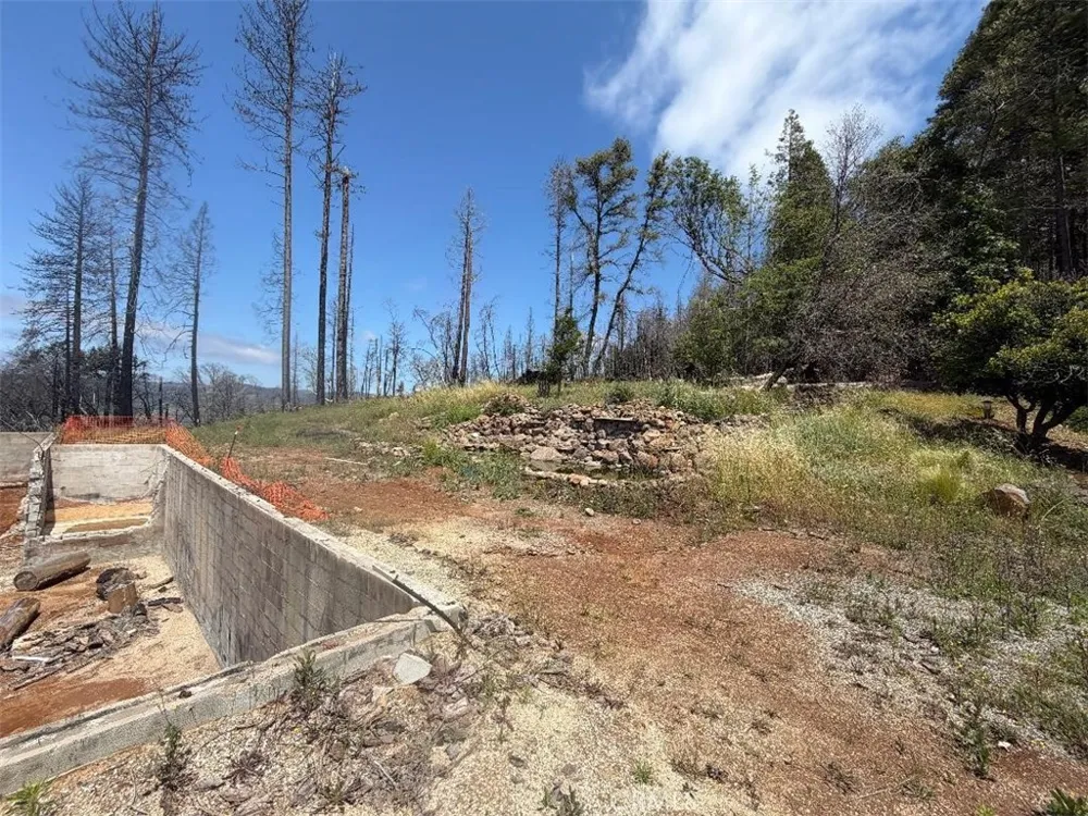 4631 Dear Abby Forest Ranch, CA 95942