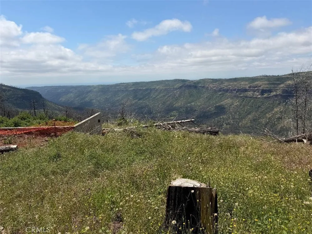 4631 Dear Abby Forest Ranch, CA 95942