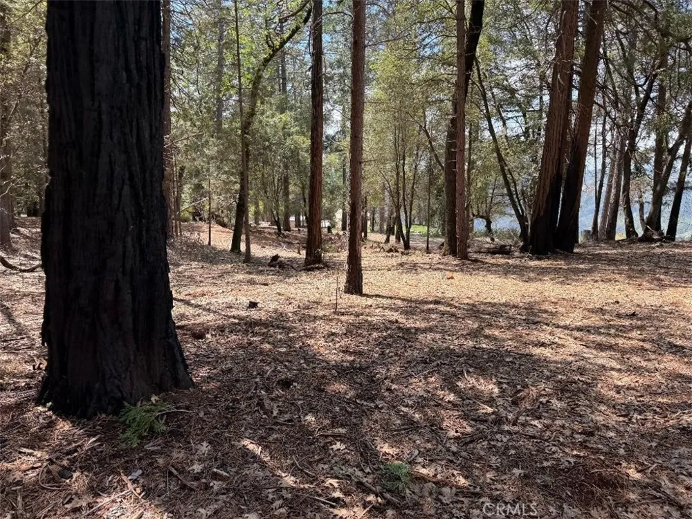 4631 Dear Abby Forest Ranch, CA 95942