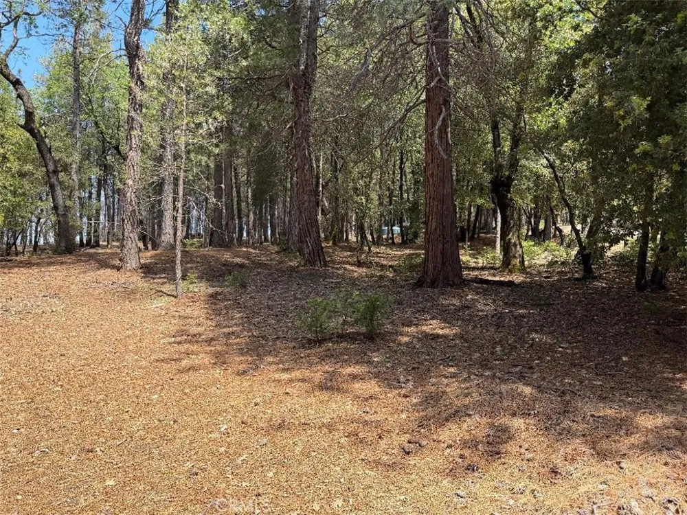4631 Dear Abby Forest Ranch, CA 95942