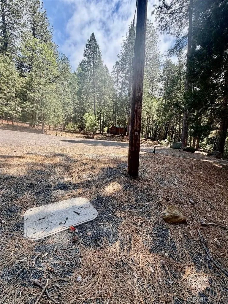 4631 Dear Abby Forest Ranch, CA 95942