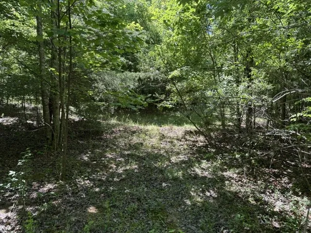 0 Wildwood Rd McMinnville, TN 37110