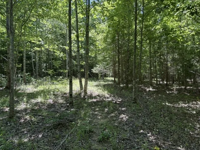 0 Wildwood Rd McMinnville, TN 37110