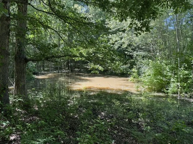 0 Wildwood Rd McMinnville, TN 37110