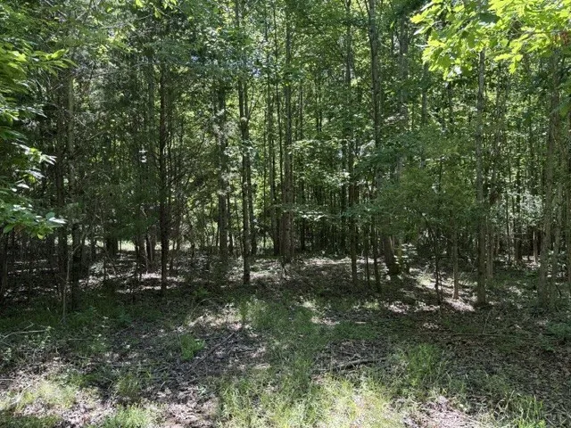 0 Wildwood Rd McMinnville, TN 37110