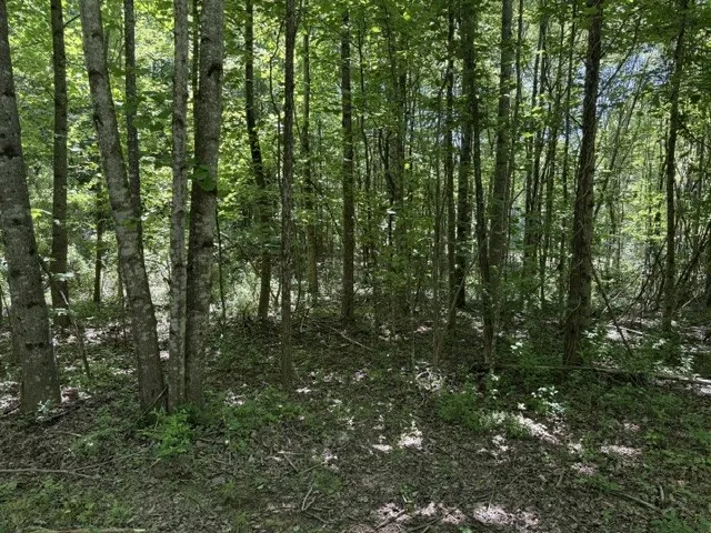 0 Wildwood Rd McMinnville, TN 37110