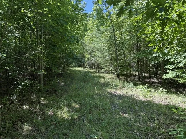0 Wildwood Rd McMinnville, TN 37110