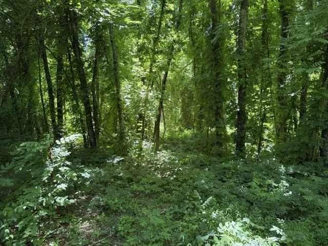 0 Wildwood Rd McMinnville, TN 37110