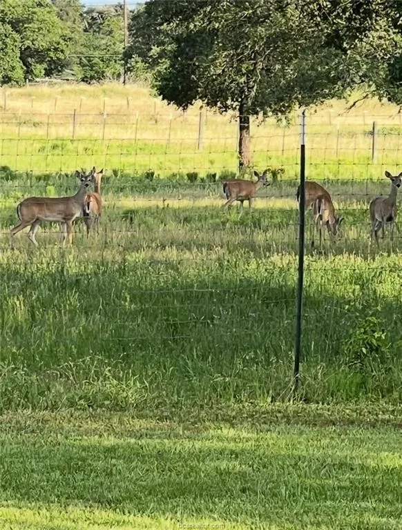 1102 Private Road 2332 Giddings, TX 78942
