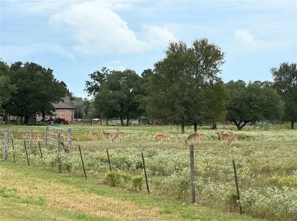 1102 Private Road 2332 Giddings, TX 78942