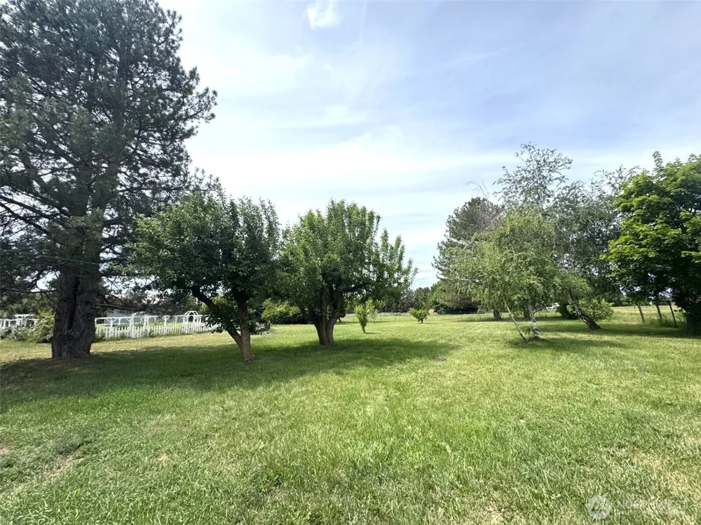 251 Broadview Road Ellensburg, WA 98926