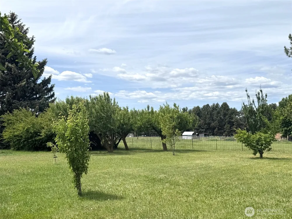 251 Broadview Road Ellensburg, WA 98926