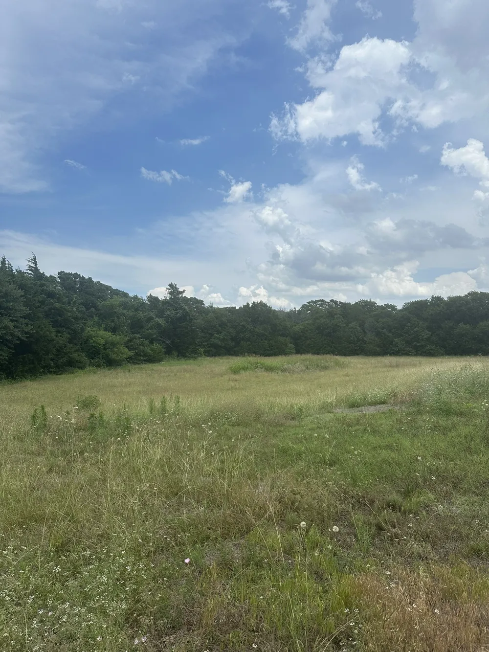 2413 Plantation Drive Burleson, TX 76028