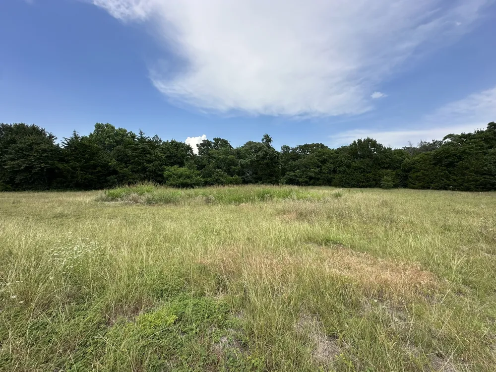 2413 Plantation Drive Burleson, TX 76028