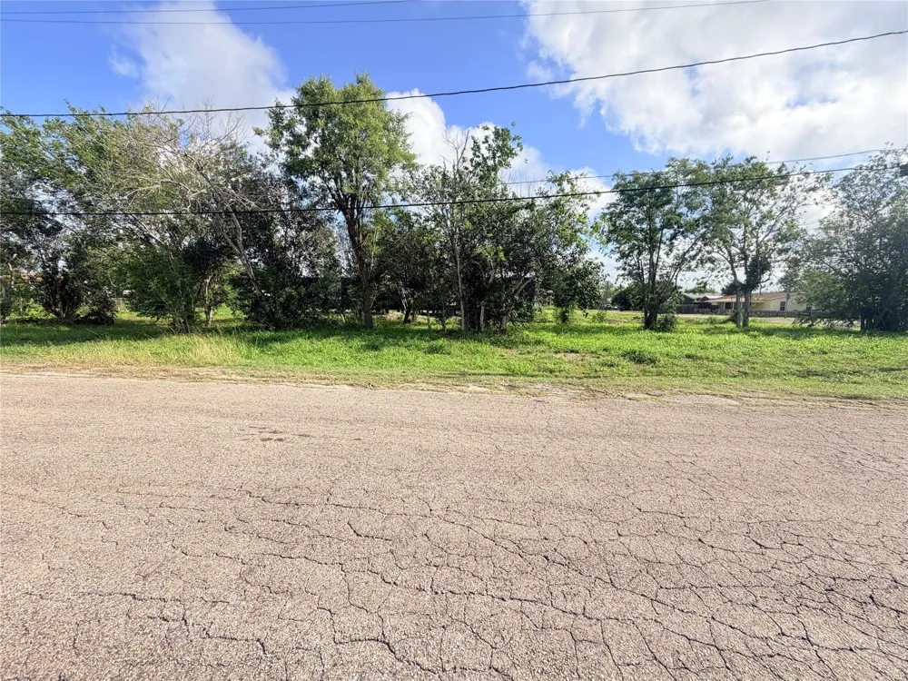 107 Shaw Street Refugio, TX 78377
