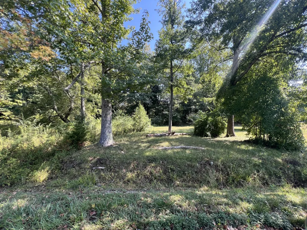 0 Longview Dr Camden, TN 38320