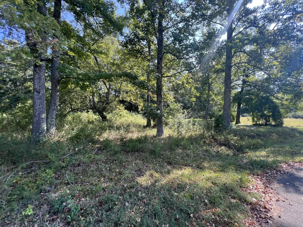 0 Longview Dr Camden, TN 38320
