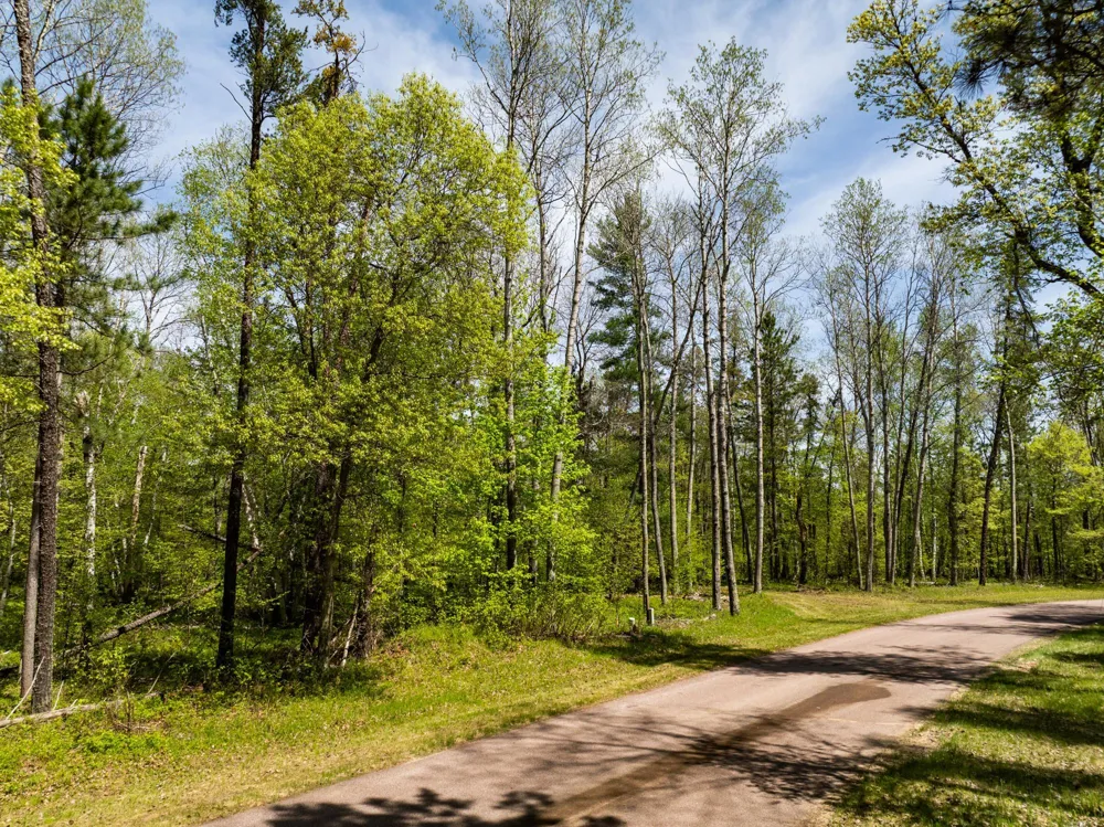 TBD Hidden Creek Court Pequot Lakes, MN 56472