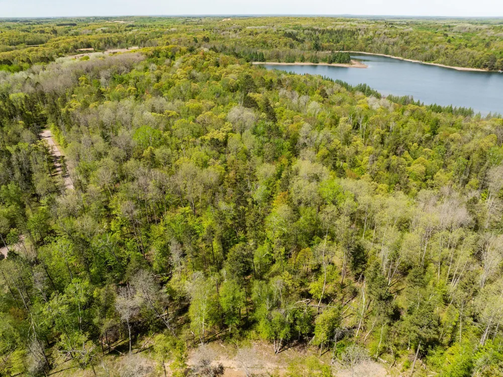 TBD Hidden Creek Court Pequot Lakes, MN 56472