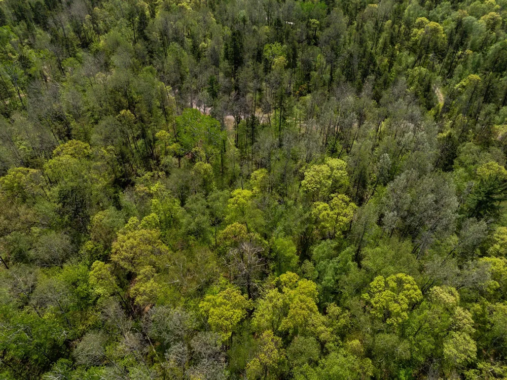 TBD Hidden Creek Court Pequot Lakes, MN 56472