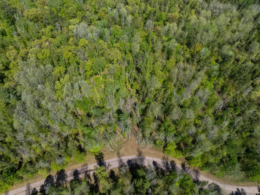 TBD Hidden Creek Court Pequot Lakes, MN 56472