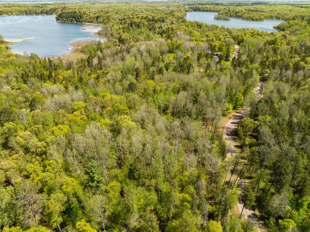 TBD Hidden Creek Court Pequot Lakes, MN 56472