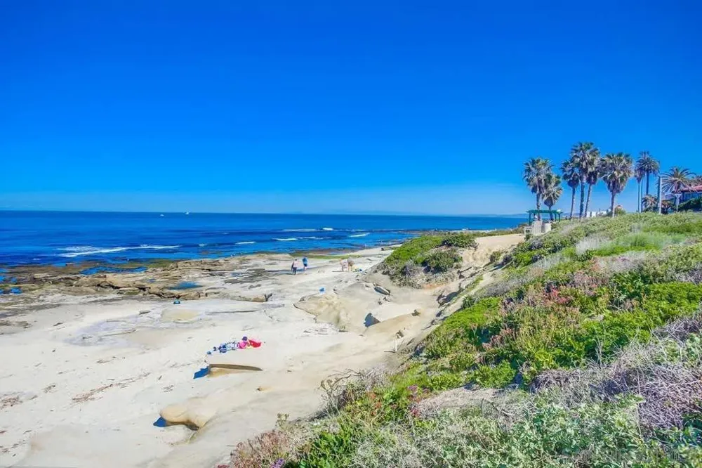 245 Coast #D2 La Jolla, CA 92037