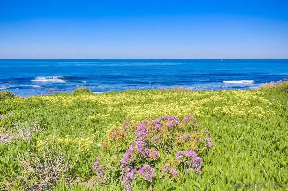 245 Coast #D2 La Jolla, CA 92037
