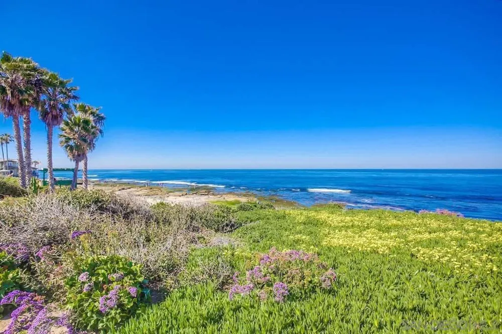 245 Coast #D2 La Jolla, CA 92037