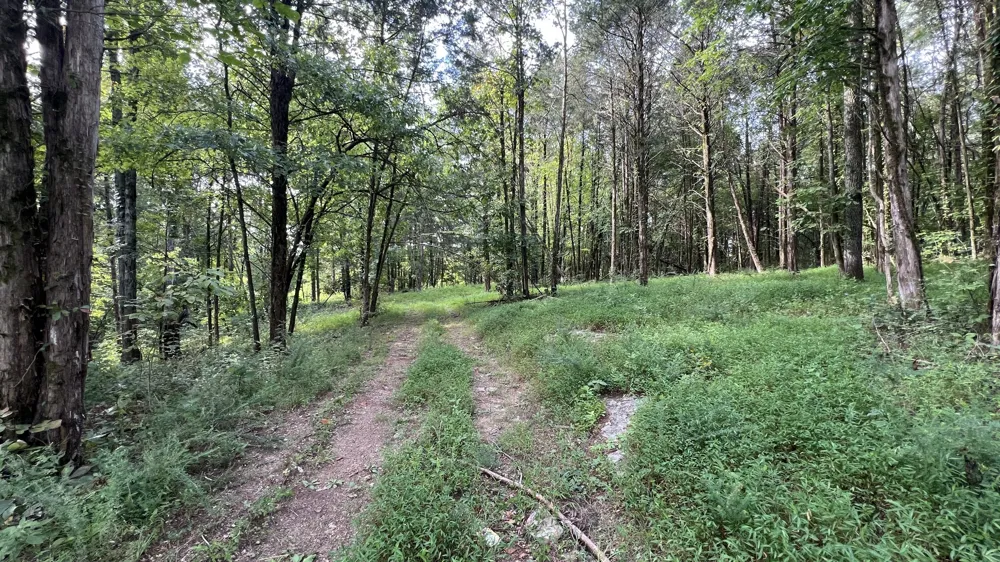 335 Hankins Ln Hartsville, TN 37074