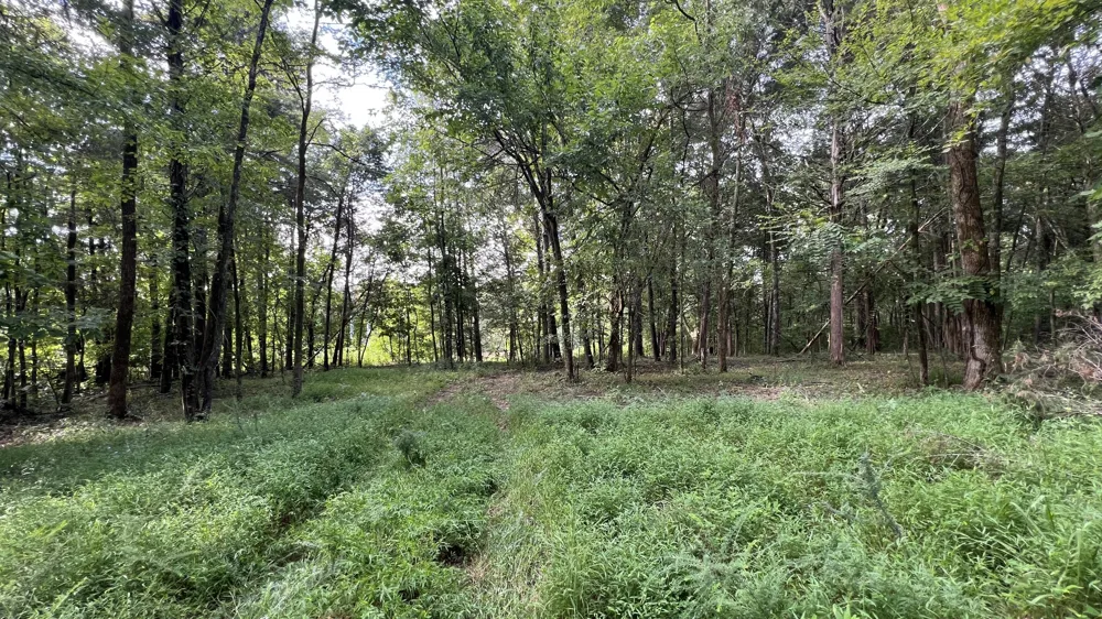 335 Hankins Ln Hartsville, TN 37074