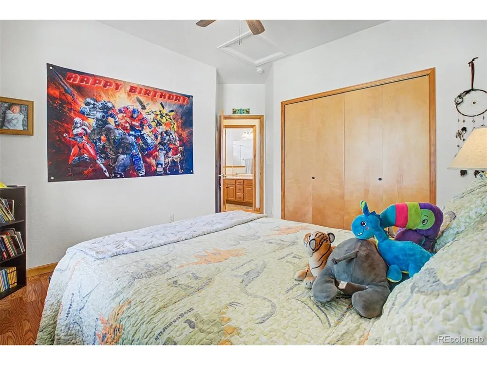 16555 Umpire Court Hudson, CO 80642