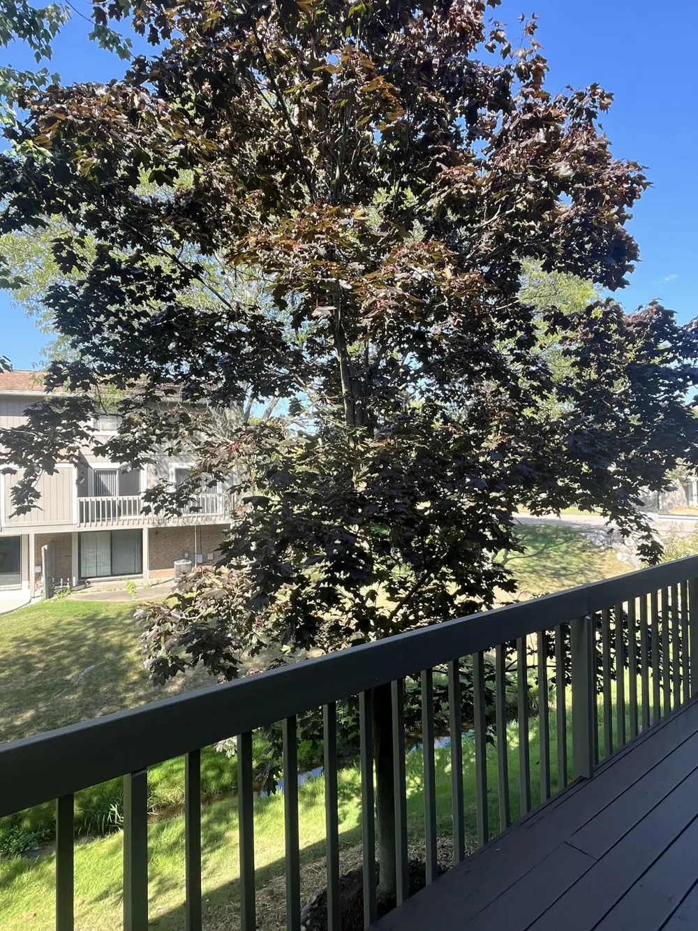 1054 Bristol Court Northville City, MI 48167