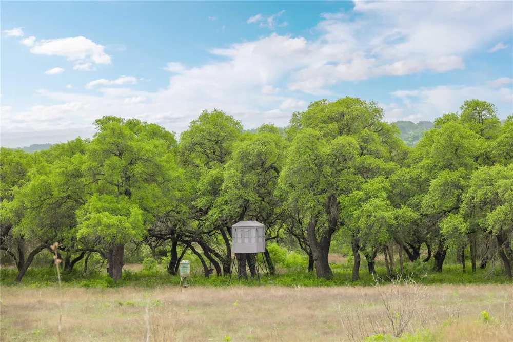 Comanche Hills Drive Comanche, TX 76442