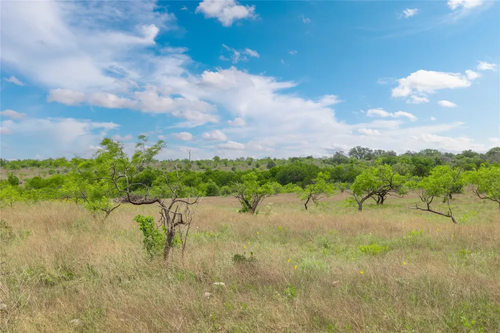 Comanche Hills Drive Comanche, TX 76442