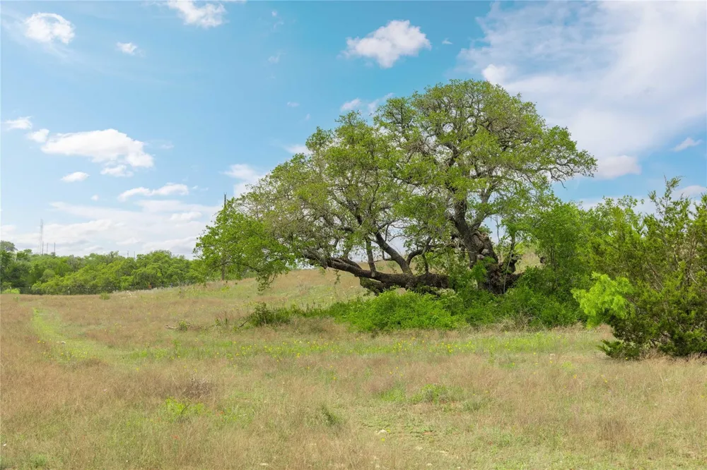 Comanche Hills Drive Comanche, TX 76442