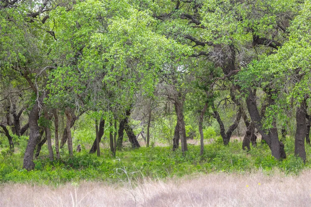 Comanche Hills Drive Comanche, TX 76442