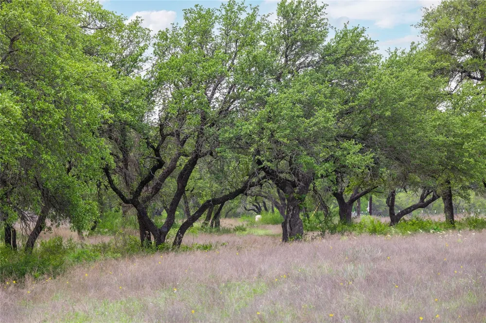 Comanche Hills Drive Comanche, TX 76442