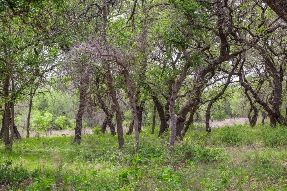 Comanche Hills Drive Comanche, TX 76442