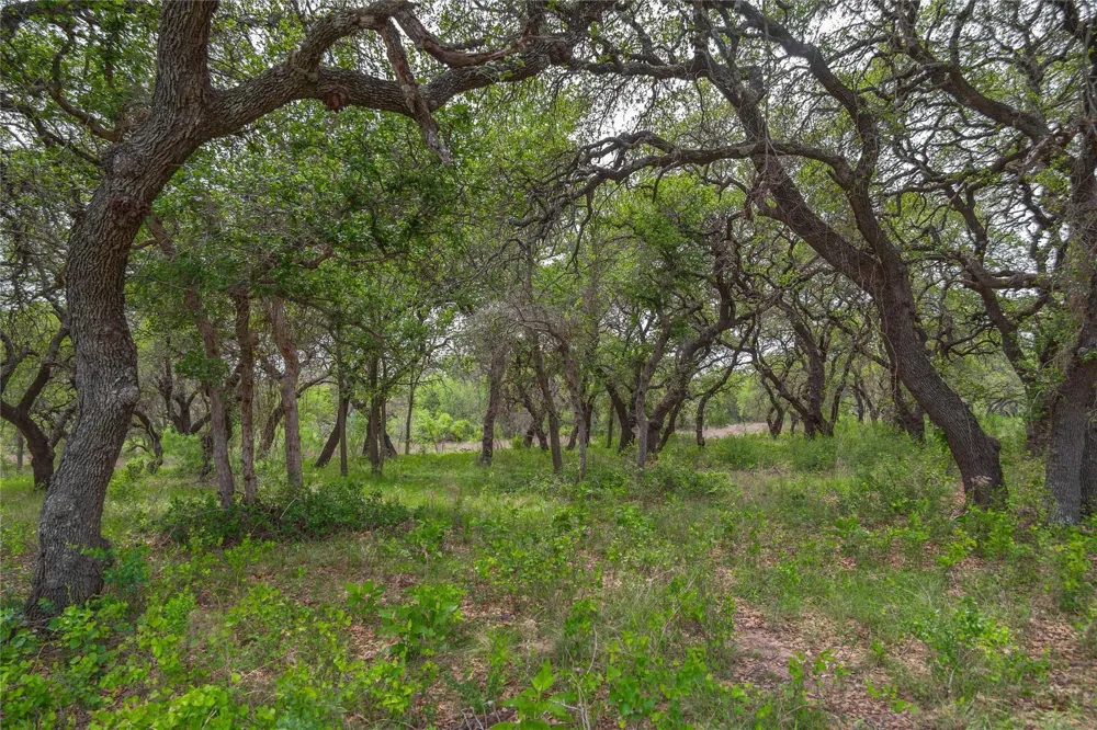 Comanche Hills Drive Comanche, TX 76442