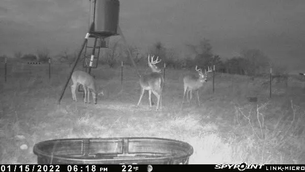Comanche Hills Drive Comanche, TX 76442