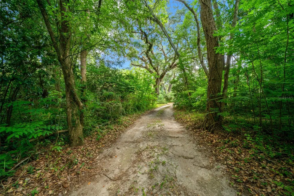 1985 NE 97TH STREED ROAD Anthony, FL 32617