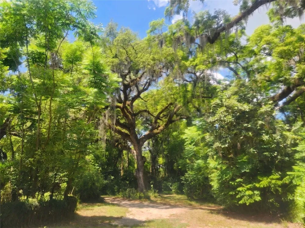 1985 NE 97TH STREED ROAD Anthony, FL 32617