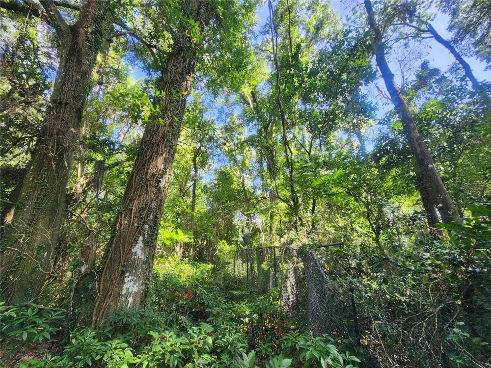 1985 NE 97TH STREED ROAD Anthony, FL 32617